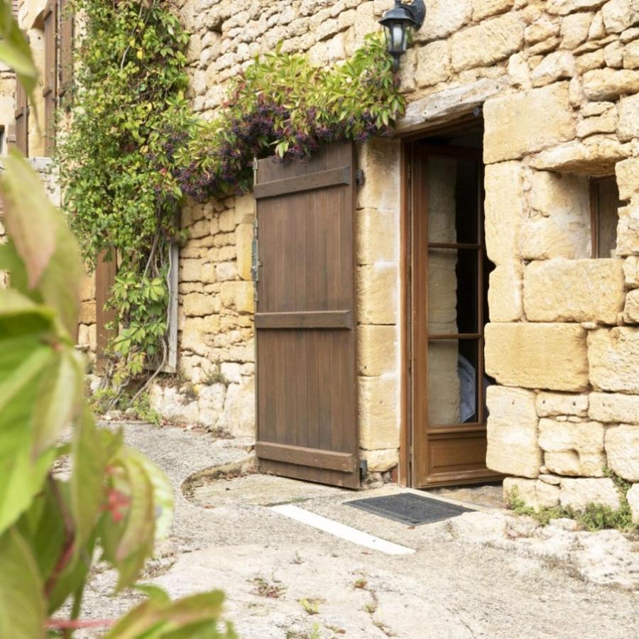 Domaine De Cantegrel - Gites De Charme Et Suite Troglodyte En Perigord Vitrac  Exterior photo
