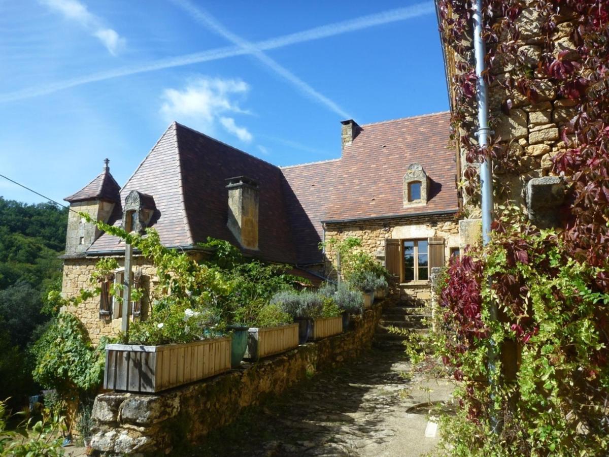 Domaine De Cantegrel - Gites De Charme Et Suite Troglodyte En Perigord Vitrac  Exterior photo