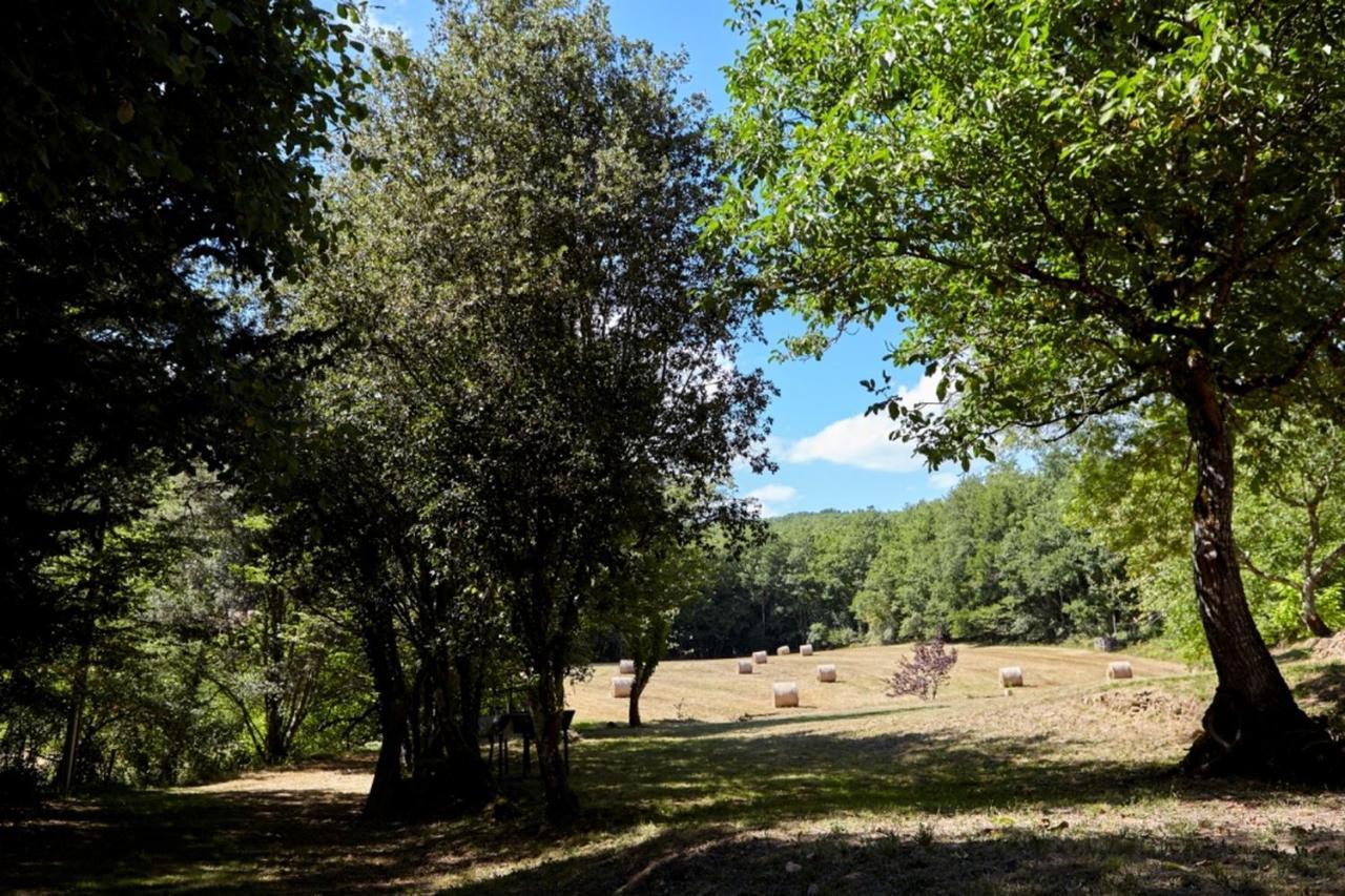Domaine De Cantegrel - Gites De Charme Et Suite Troglodyte En Perigord Vitrac  Exterior photo