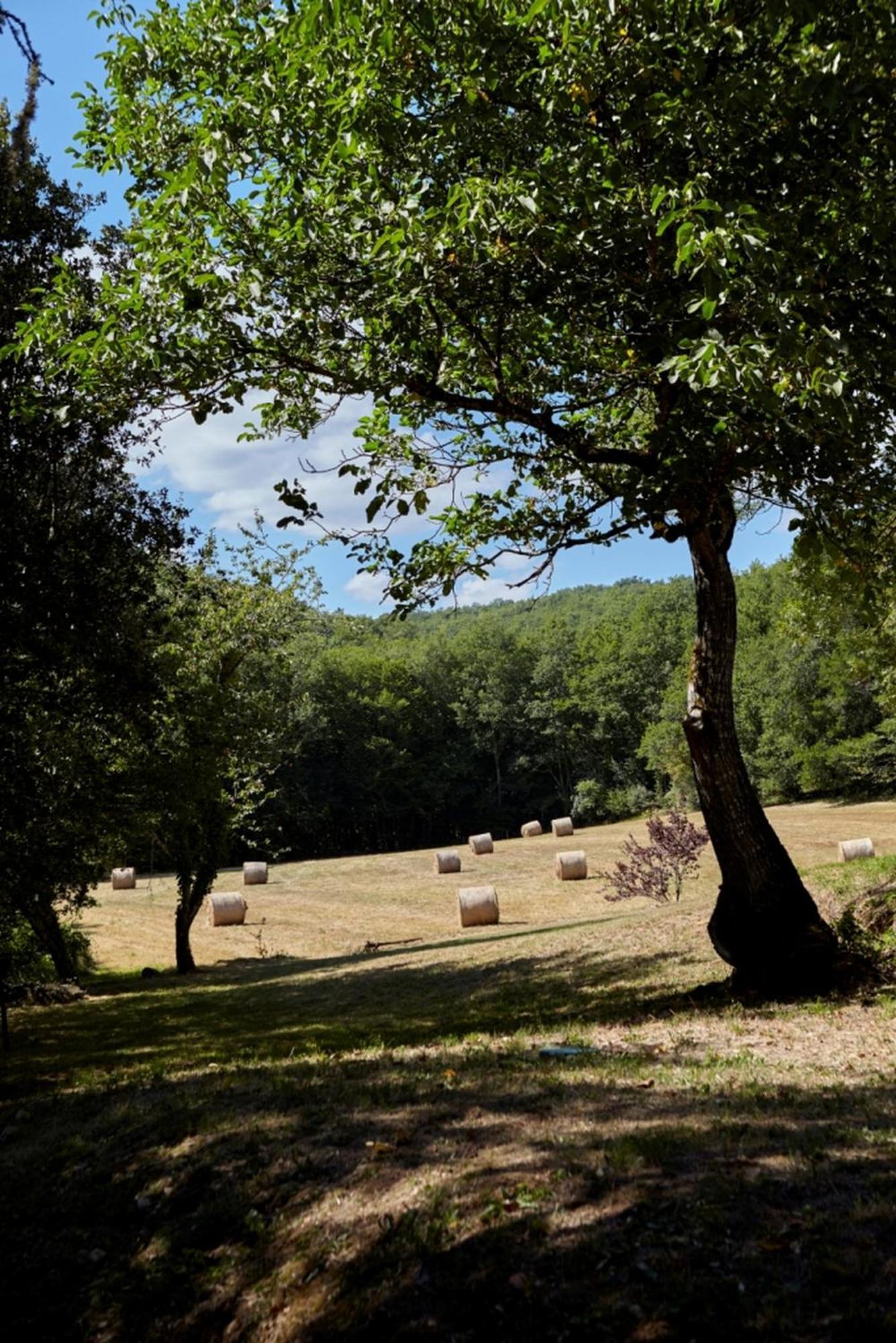 Domaine De Cantegrel - Gites De Charme Et Suite Troglodyte En Perigord Vitrac  Exterior photo